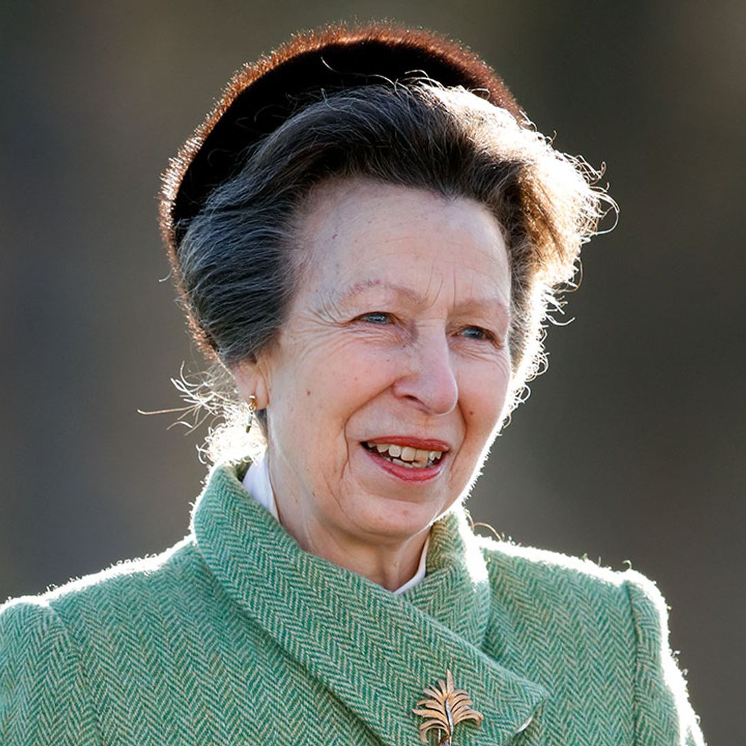 Princess Anne quietly returns to work and she was joined by a special guest