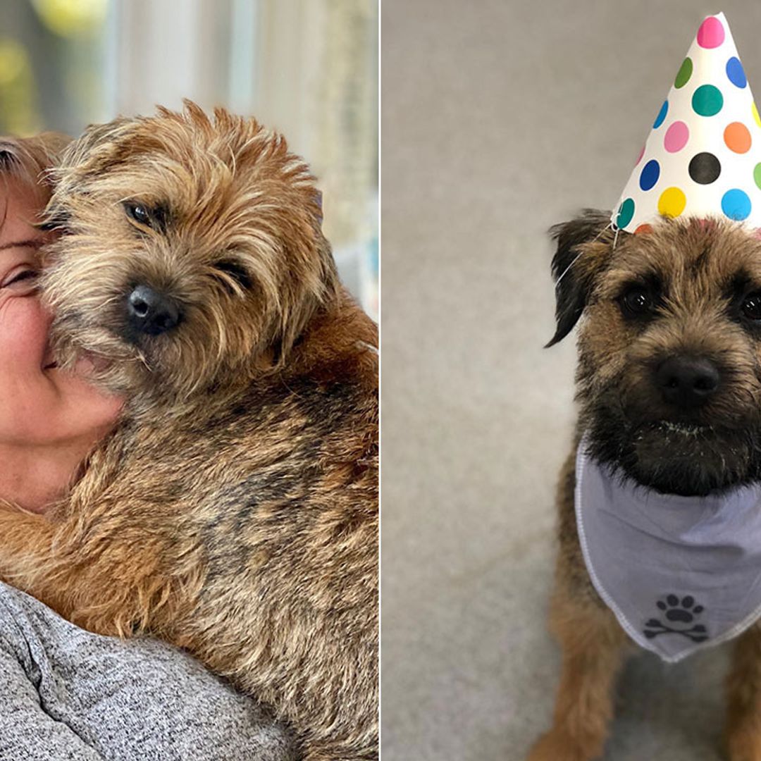 Lorraine Kelly reveals how pet dog Angus saved her in lockdown as she celebrates his birthday