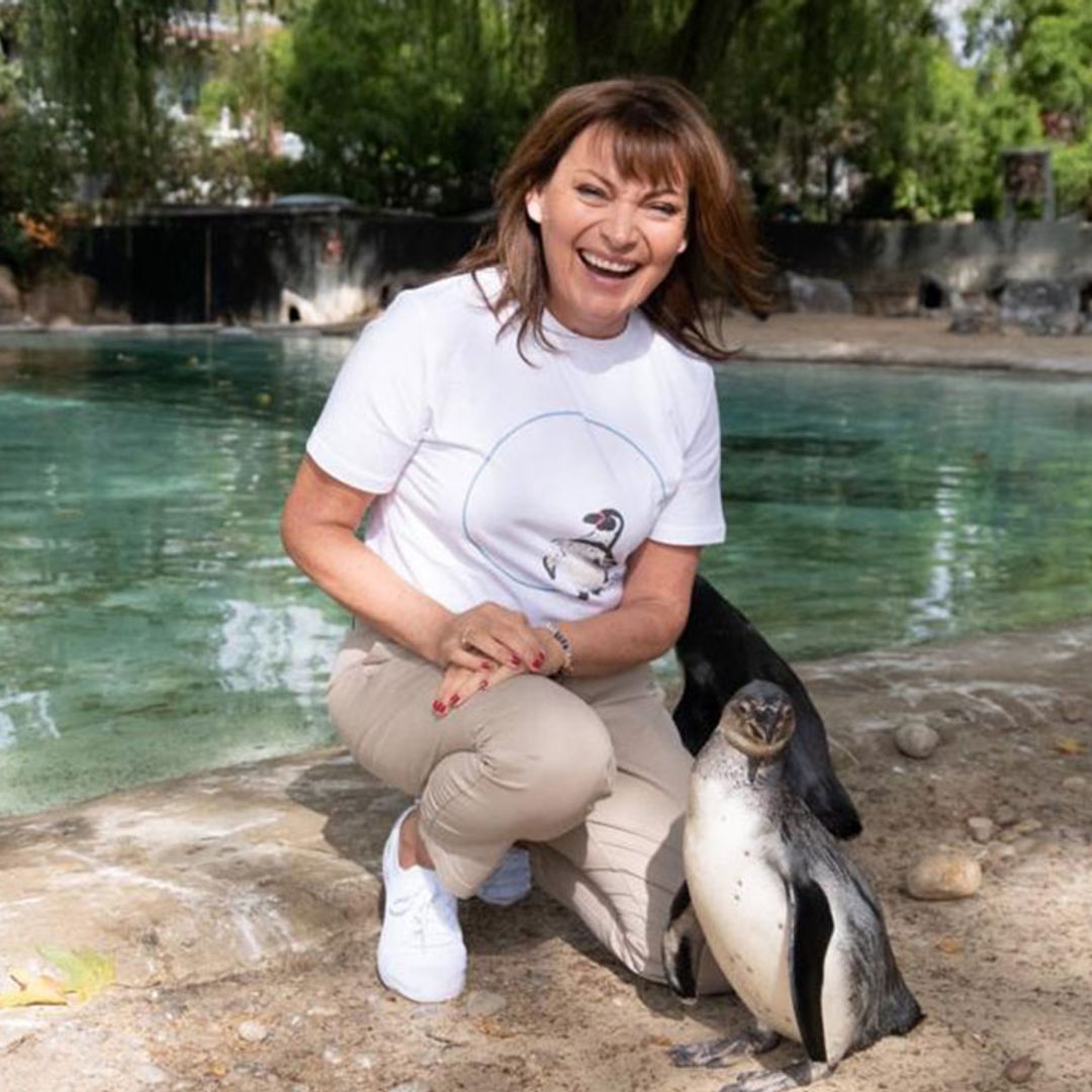 Lorraine Kelly's sweet moment with penguin at London Zoo