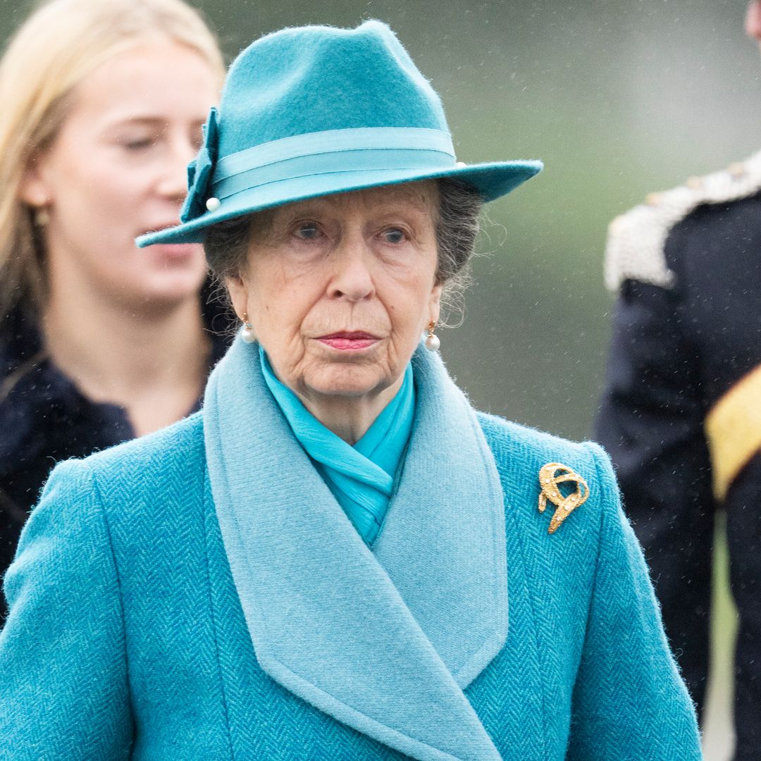 Princess Anne attends military parade solo on wedding anniversary