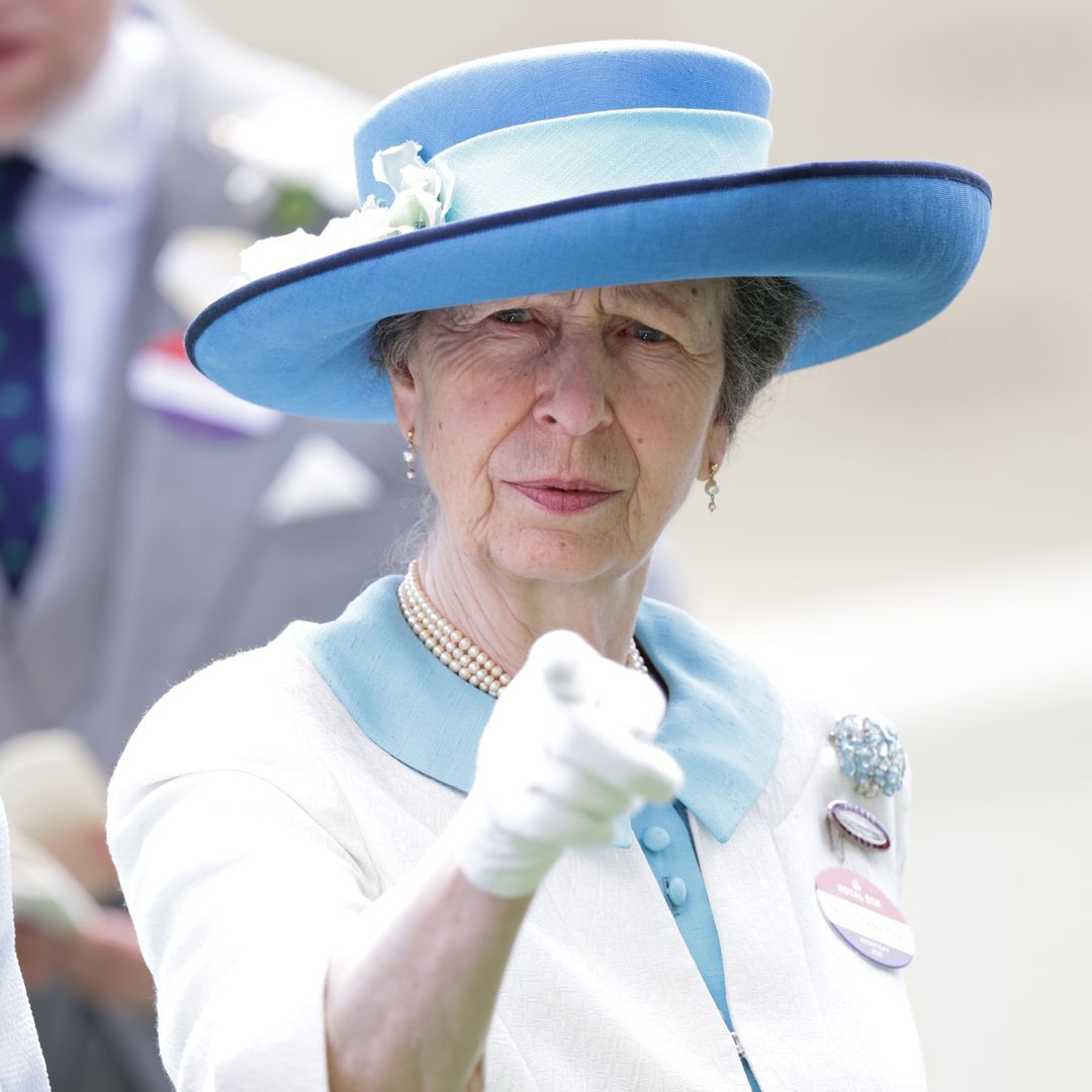 Princess Anne's unexpected fall goes viral in resurfaced clip - and leaves fans divided