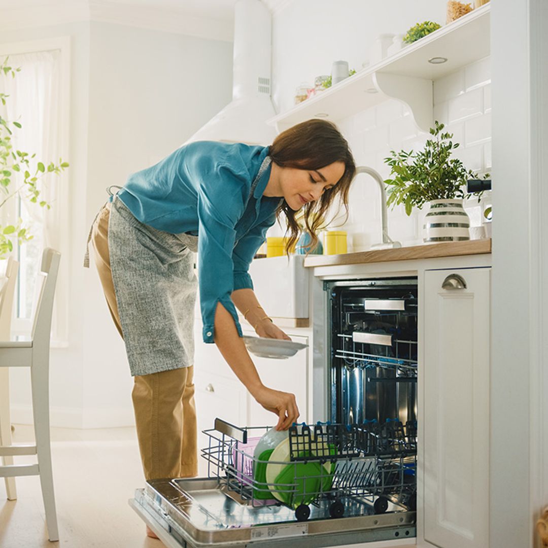 How to clean a dishwasher in 5 simple steps