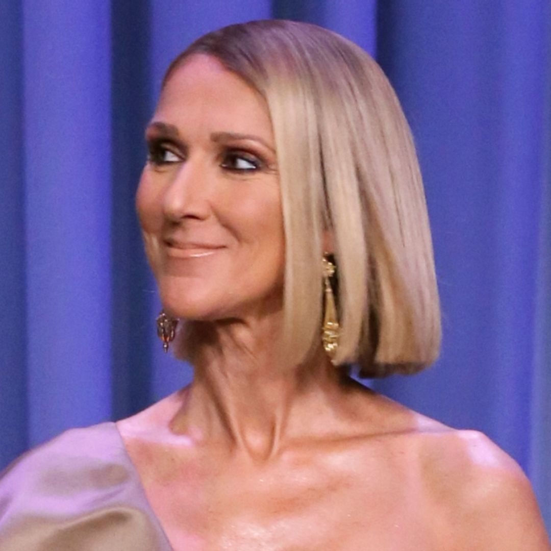 Celine Dion delights fans with rare family Christmas photograph
