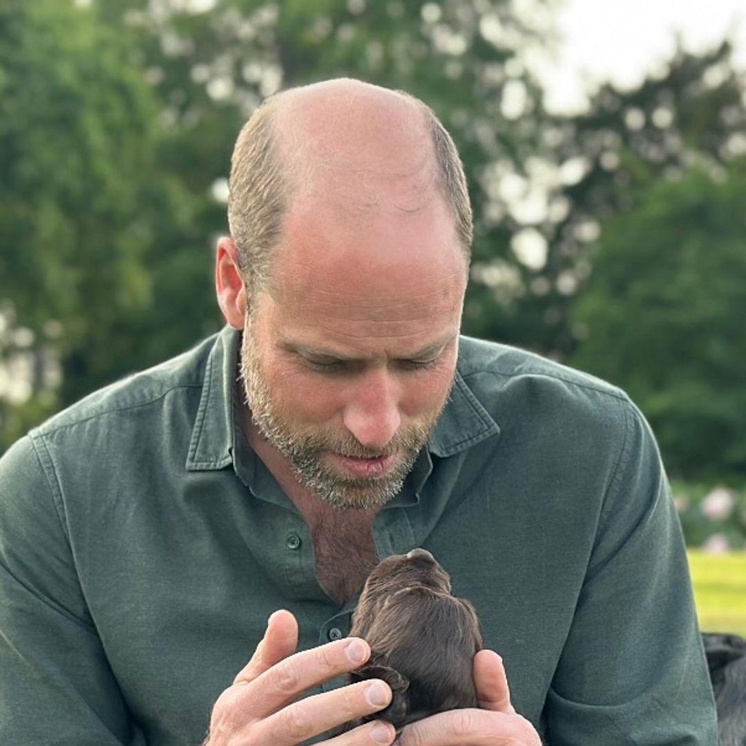 Prince William and Kate share photo of the 'cutest' new family members on 43rd birthday