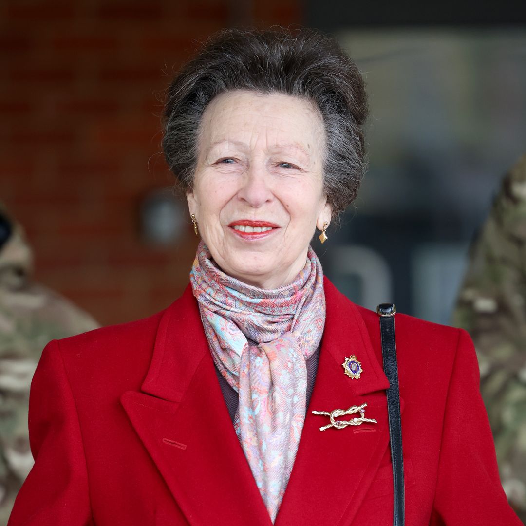 Princess Anne shines on stage in velvet dress to accept lifetime ...