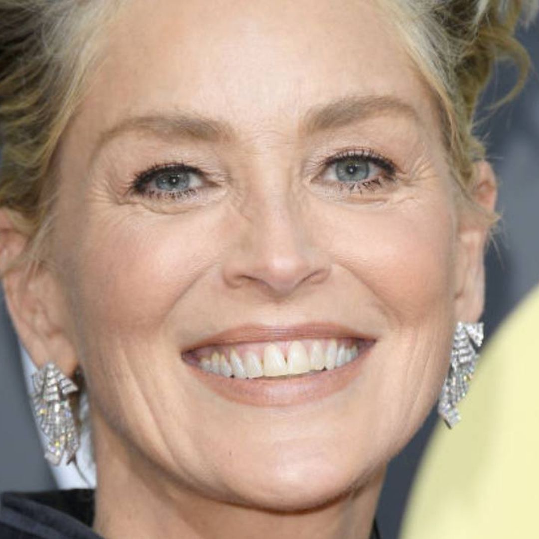 Sharon Stone looks incredible modeling lingerie in age-defying snapshot