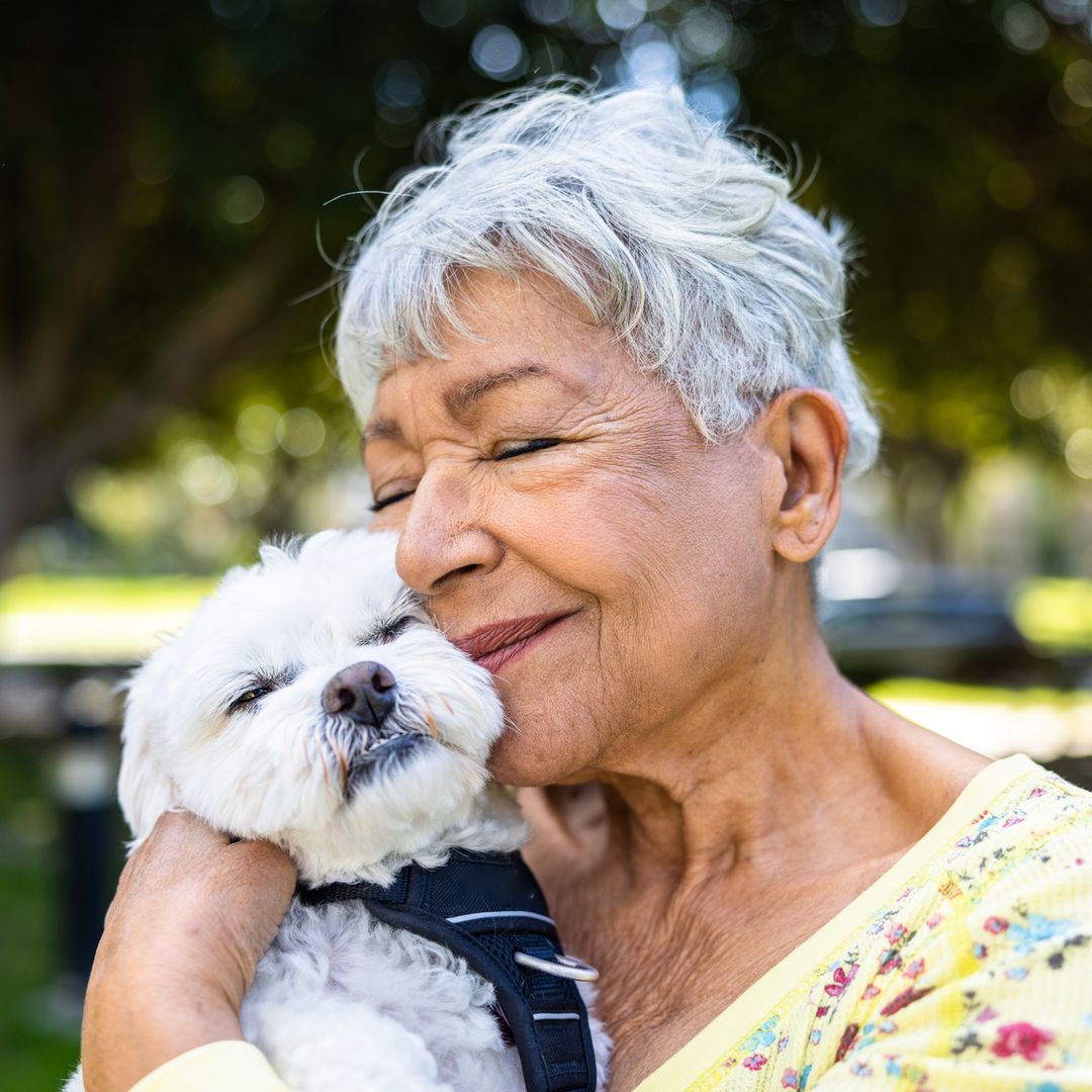 7 loyal dog breeds that make the best companions for lonely people