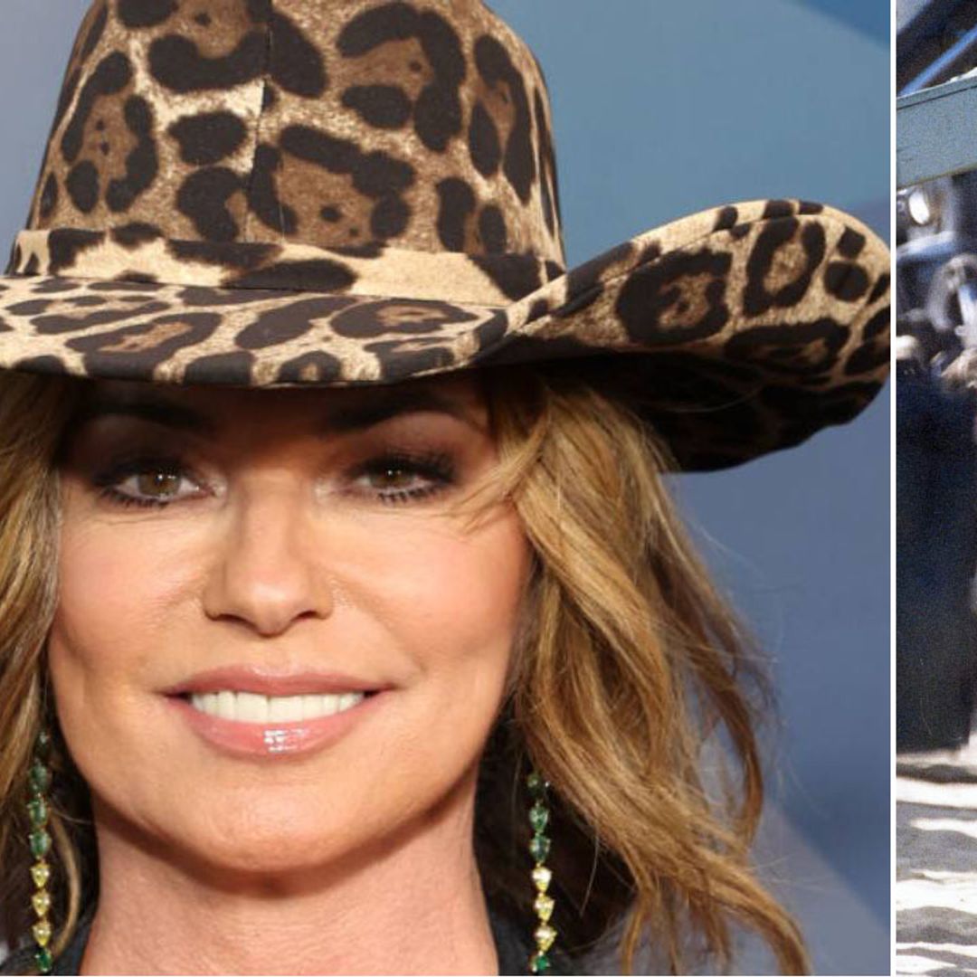 Shania Twain channels Pamela Anderson with new platinum blonde hair