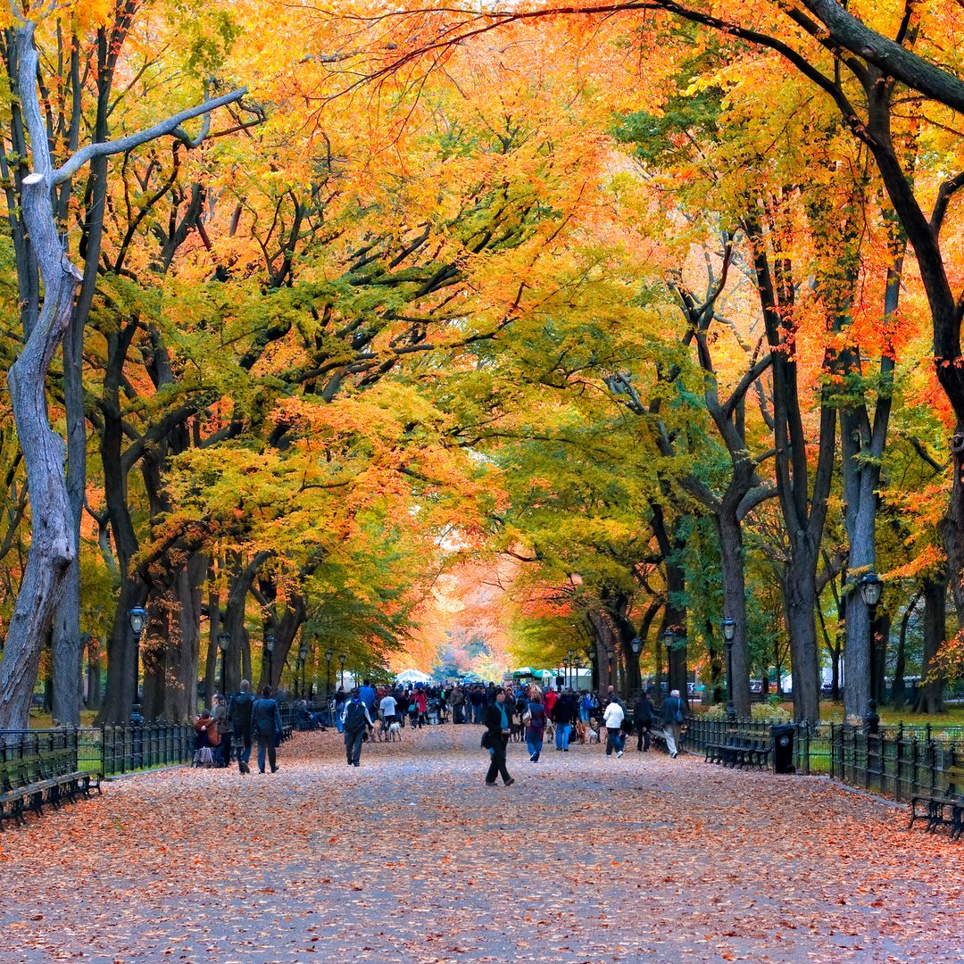 The 20 most-filmed locations around the world (and why Hollywood loves them)