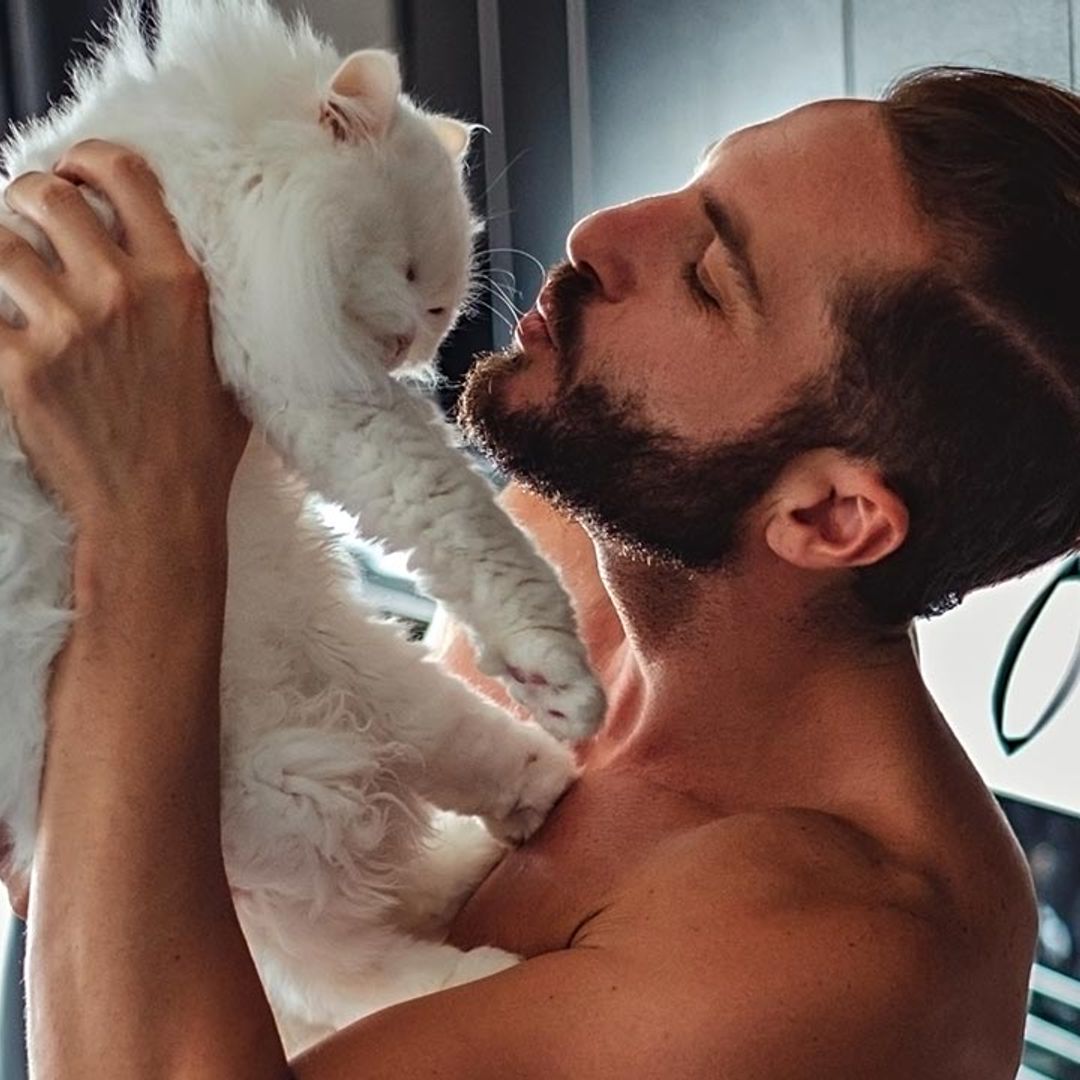 Meet the Cat-chelors! Single men are getting a cat instead of finding love