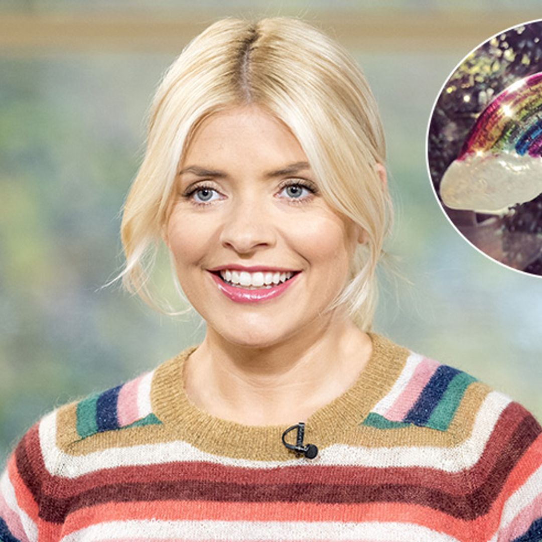 Find Holly Willoughby's rainbow Christmas decoration for as little as £3