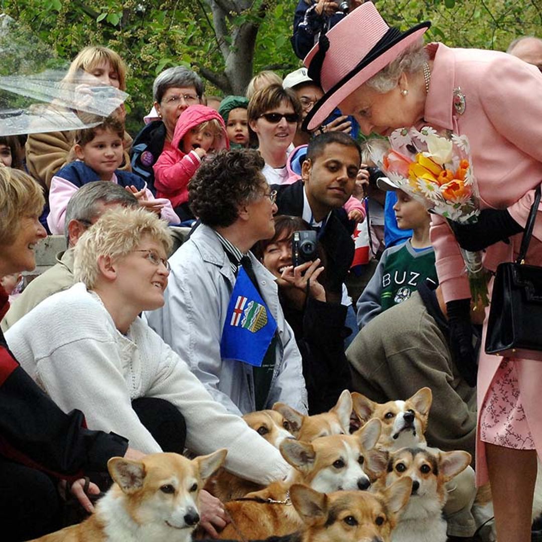 10 times the Queen was overjoyed meeting the public's dogs – see photos