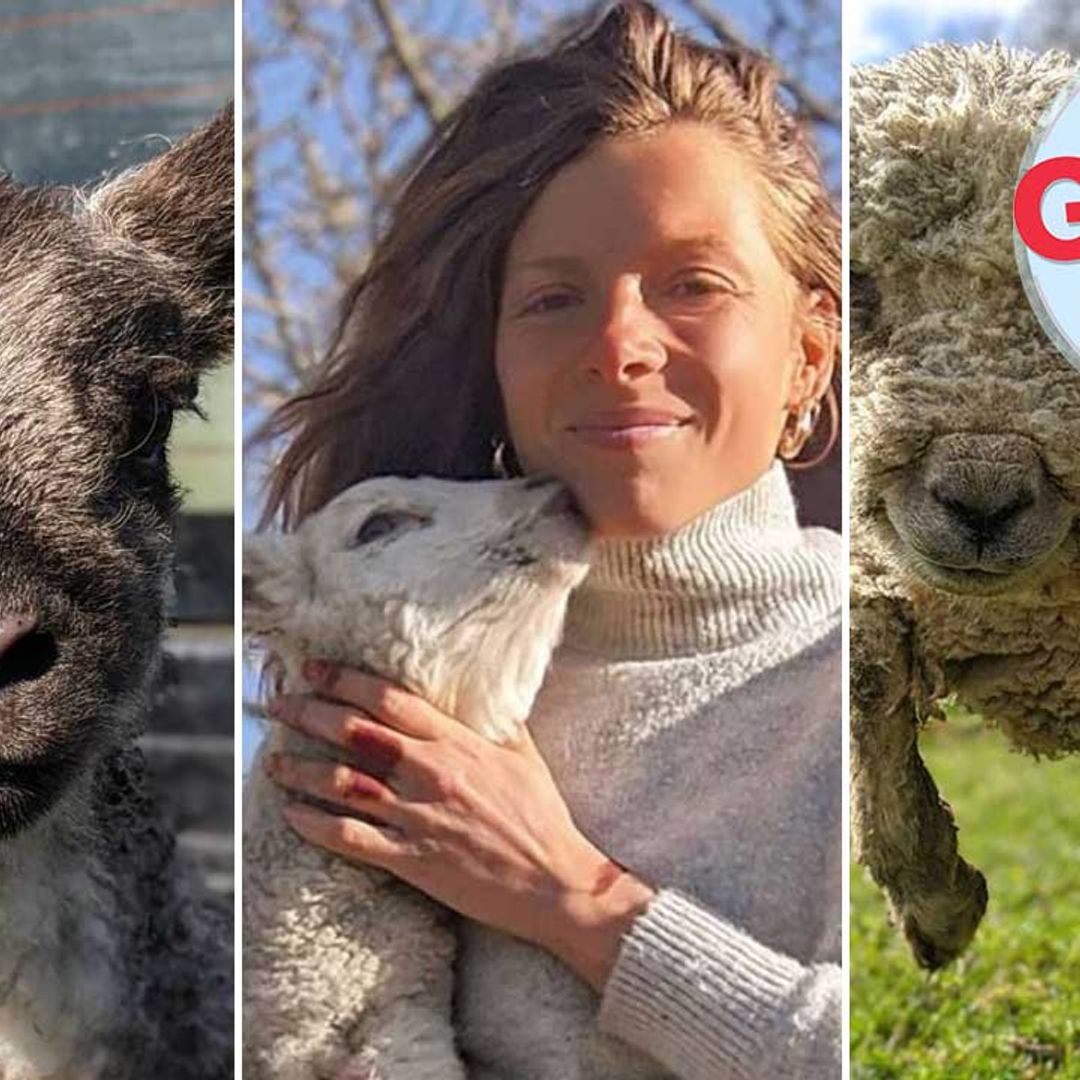 The shepherdess whose flock you definitely need to follow on Instagram