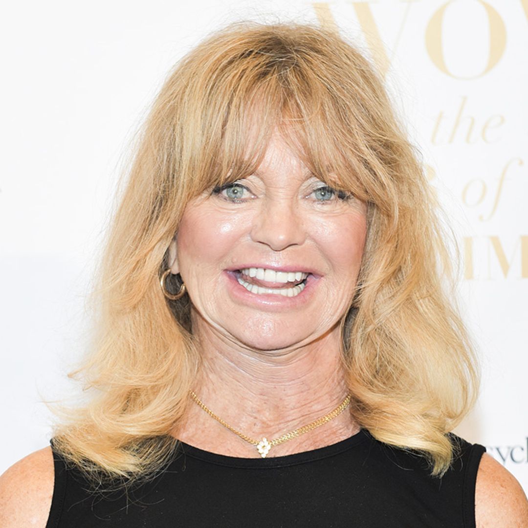 Goldie Hawn left overjoyed as she celebrates incredible charity news