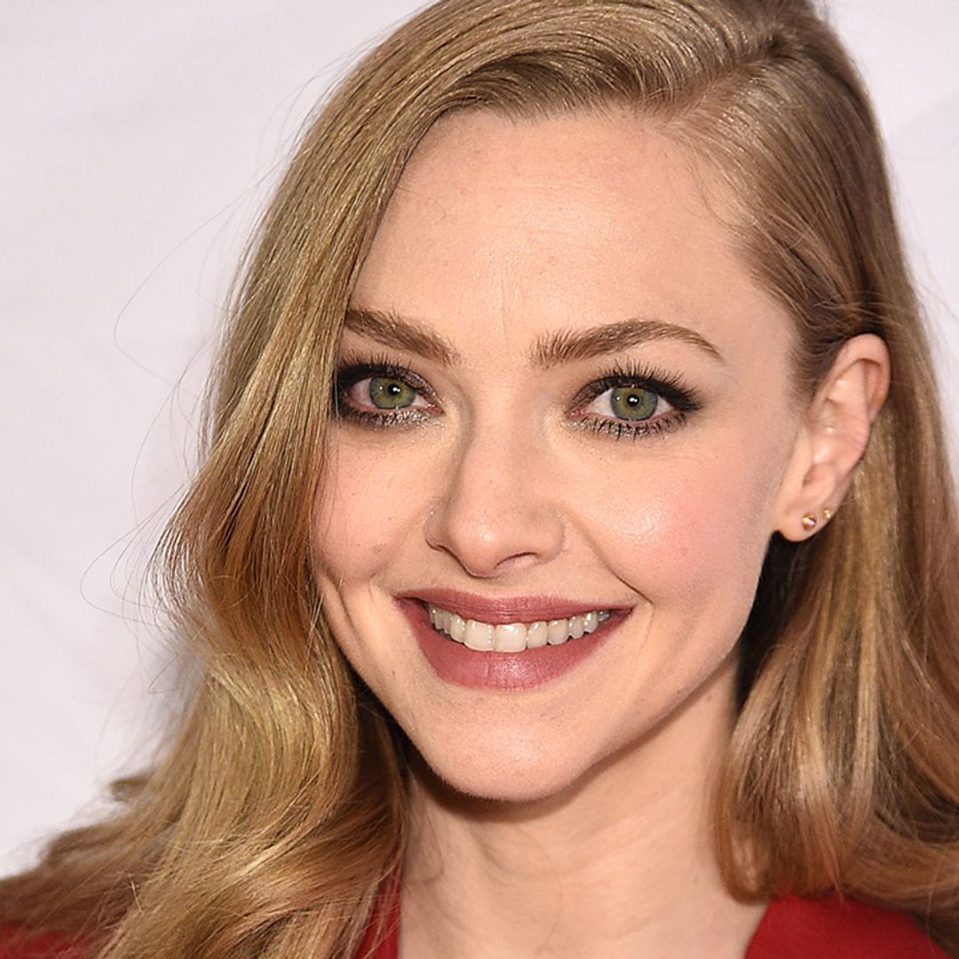 Amanda Seyfried's throwback photo has fans convinced she's 'ageless'