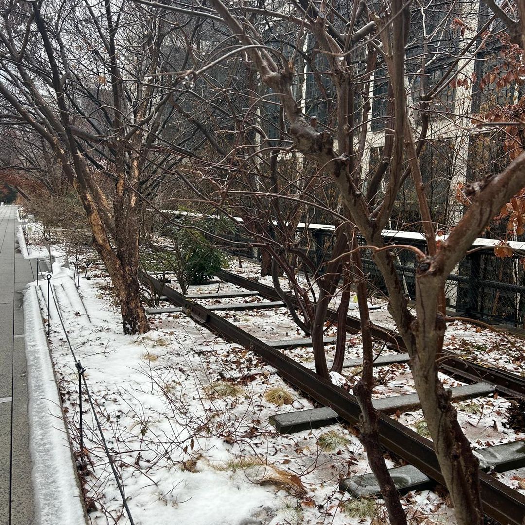 Walking on the High Line in the snow