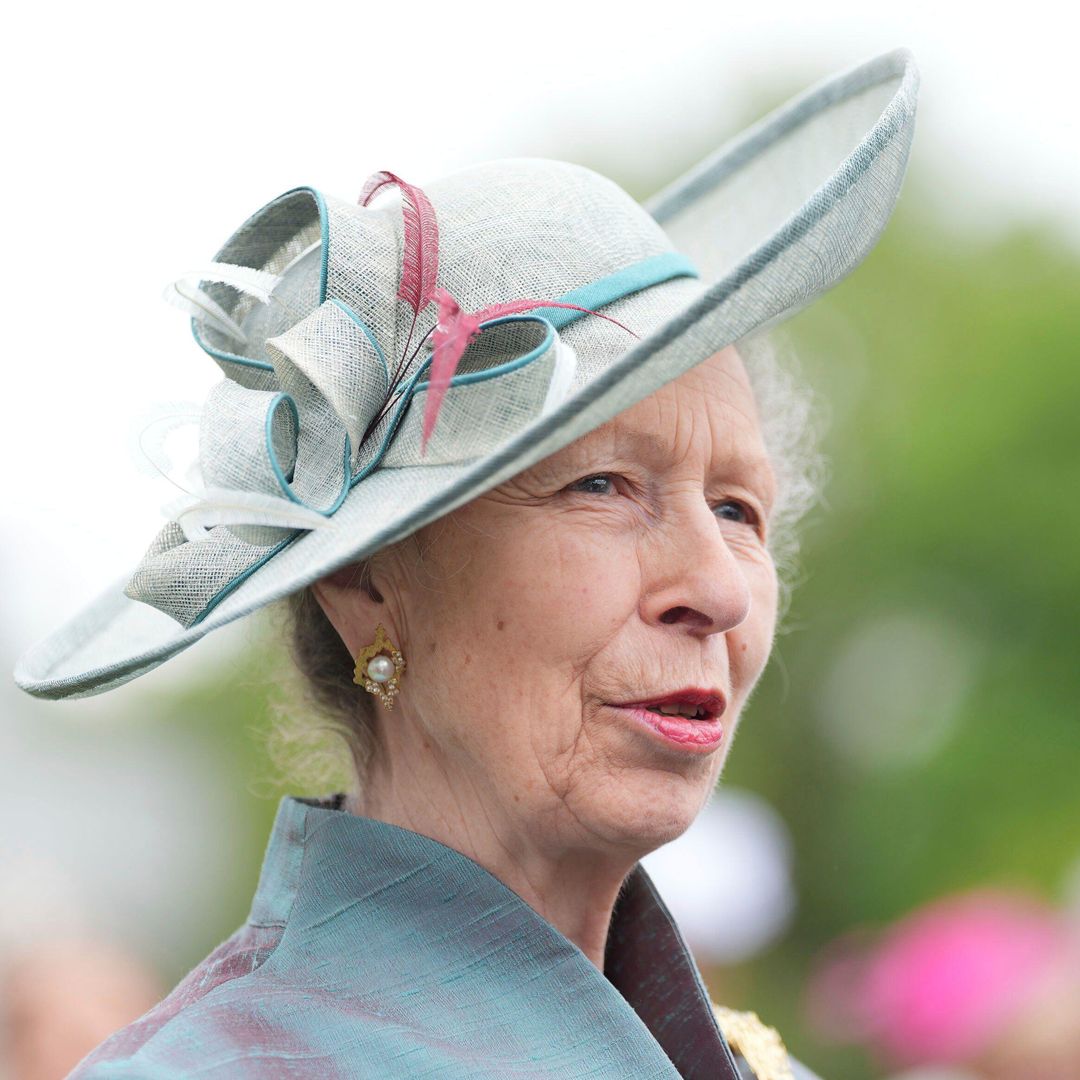 Princess Anne is almost unrecognisable with 'expensive' Rolo blonde Rapunzel hair