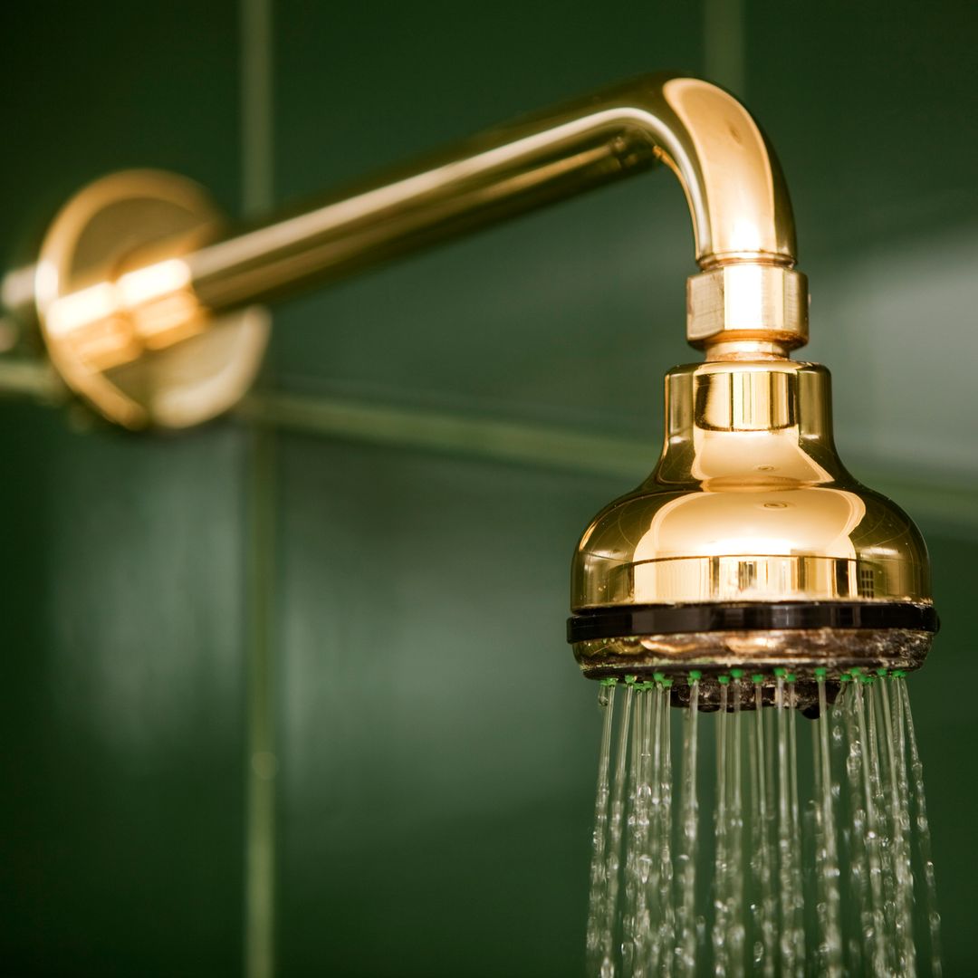 Women are freaking out about how to clean their bits in a hotel shower - our experts have the answer