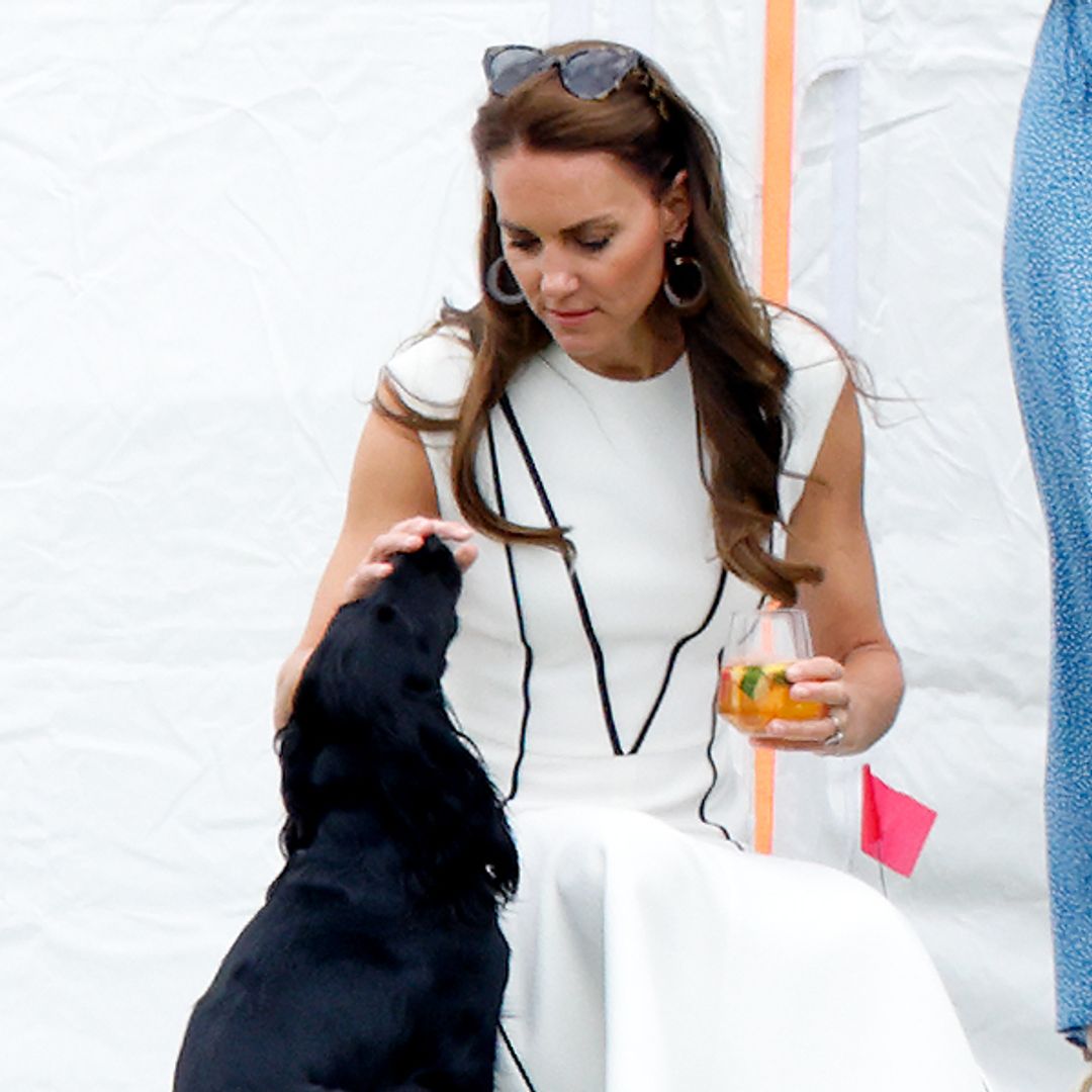 Princess Kate and Prince William's rarely-seen spaniel's royal name explained