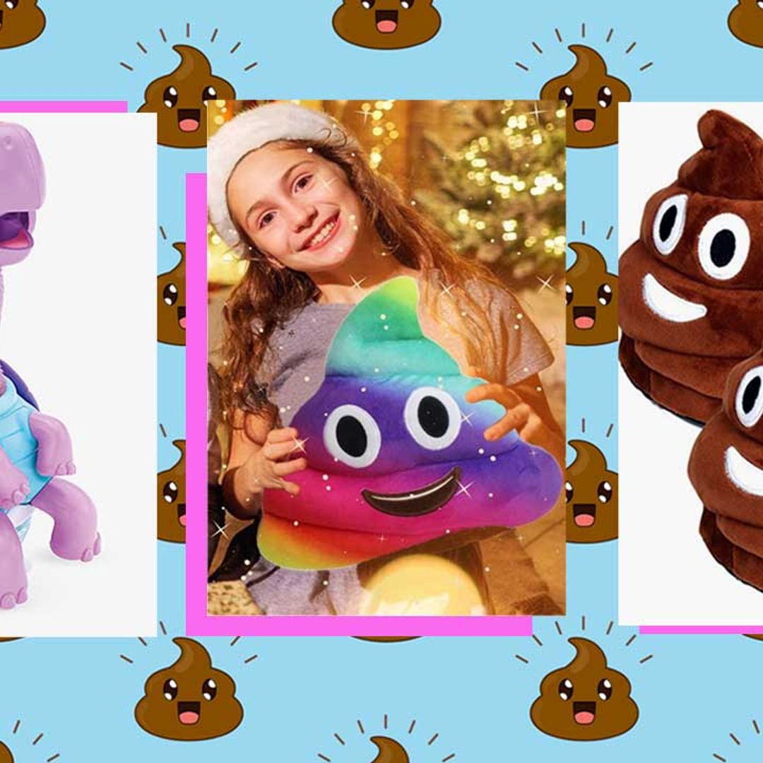 Funny poop gifts for kids this Chrismas: From the Gotta go Turdle to the Pooping Flamingo
