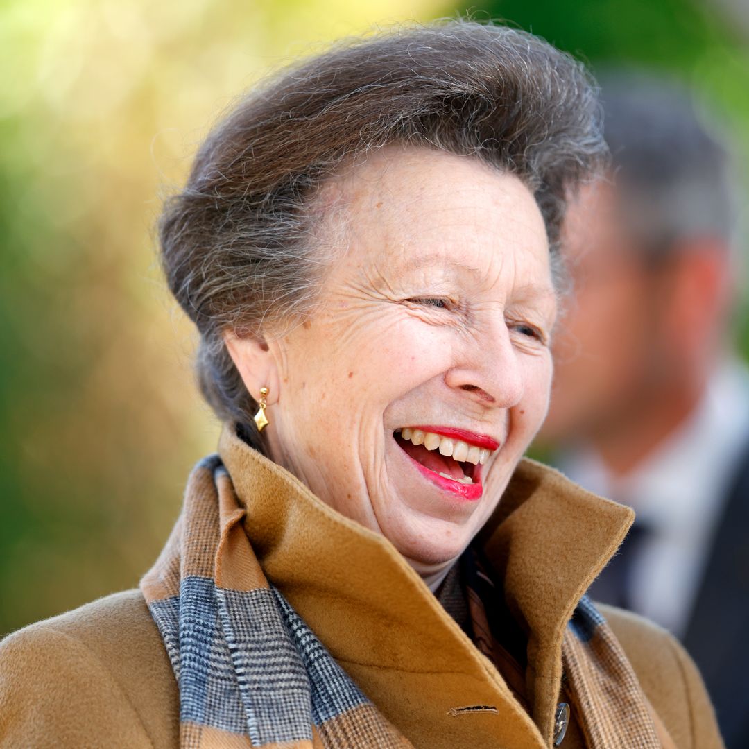 Princess Anne makes glittering entrance at state banquet in eye ...