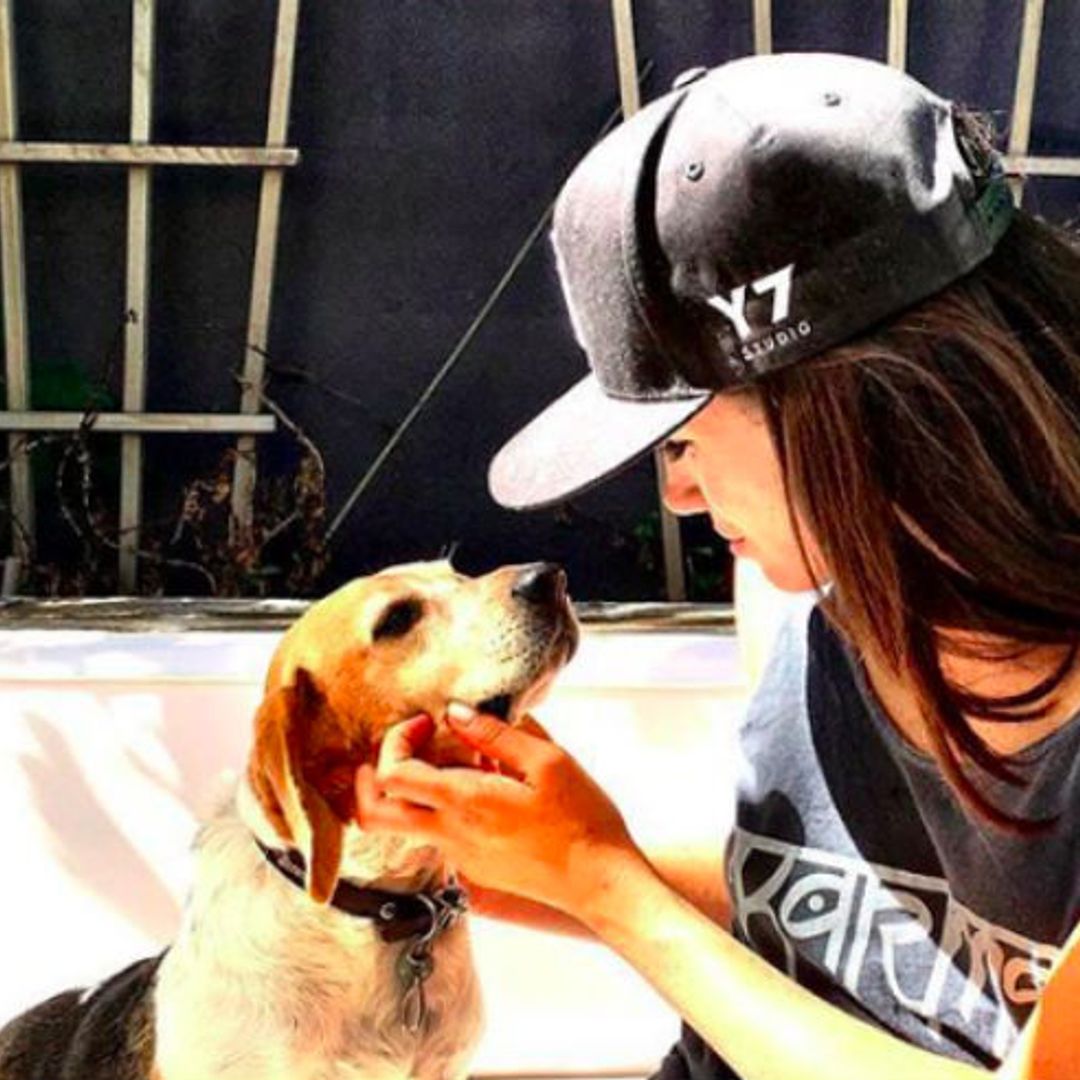 Meghan Markle separated from rescue dog Bogart