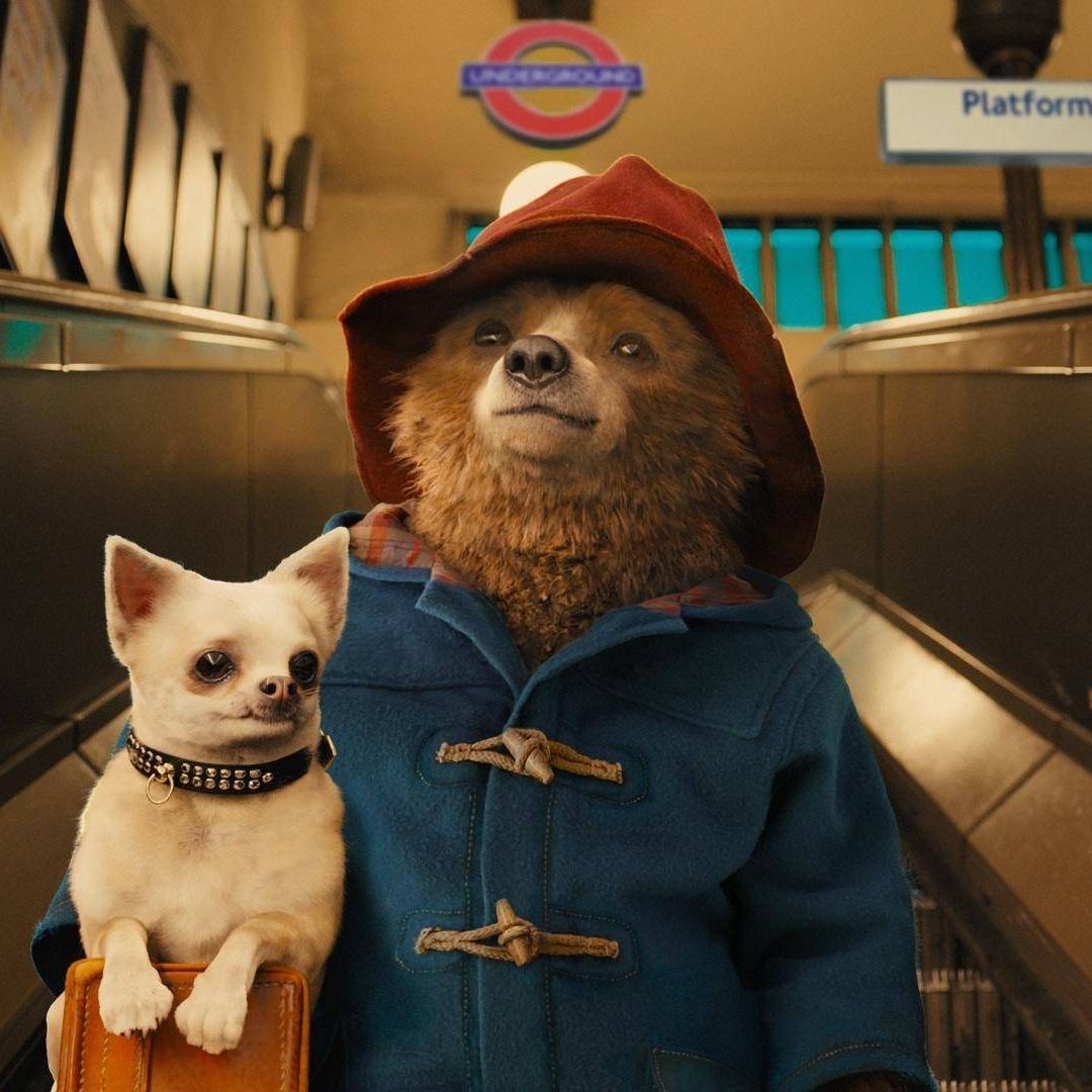 Hollywood movie sequels that are actually worth watching - and one is Paddington 2
