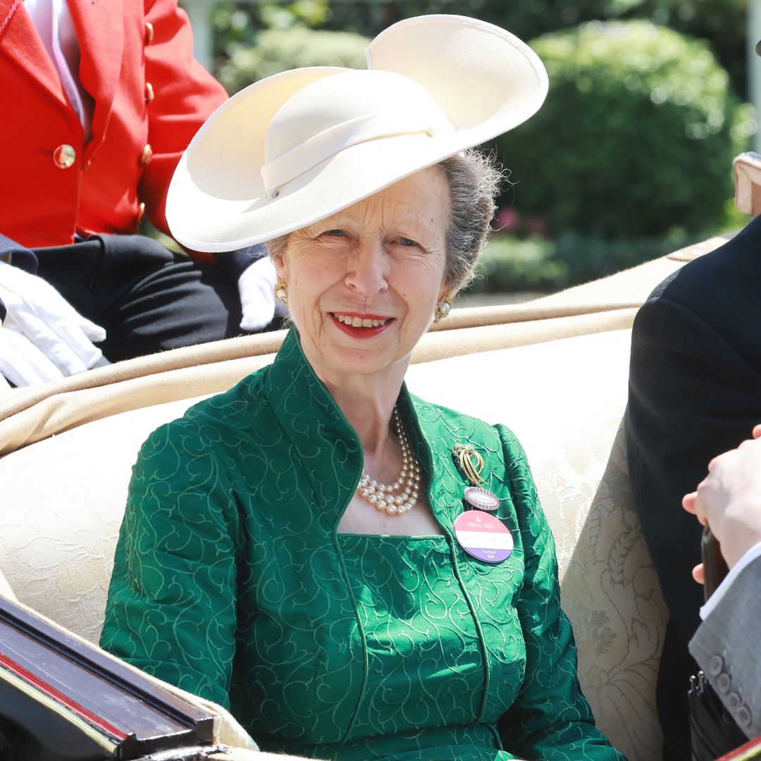 Princess Anne joins King Charles and Queen Camilla at royal garden party