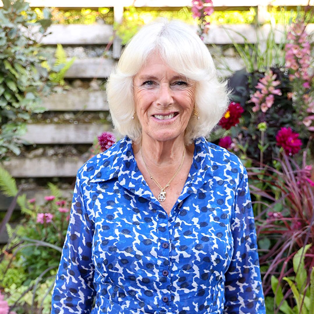 Duchess of Cornwall gets royal fans talking with stunning new portrait