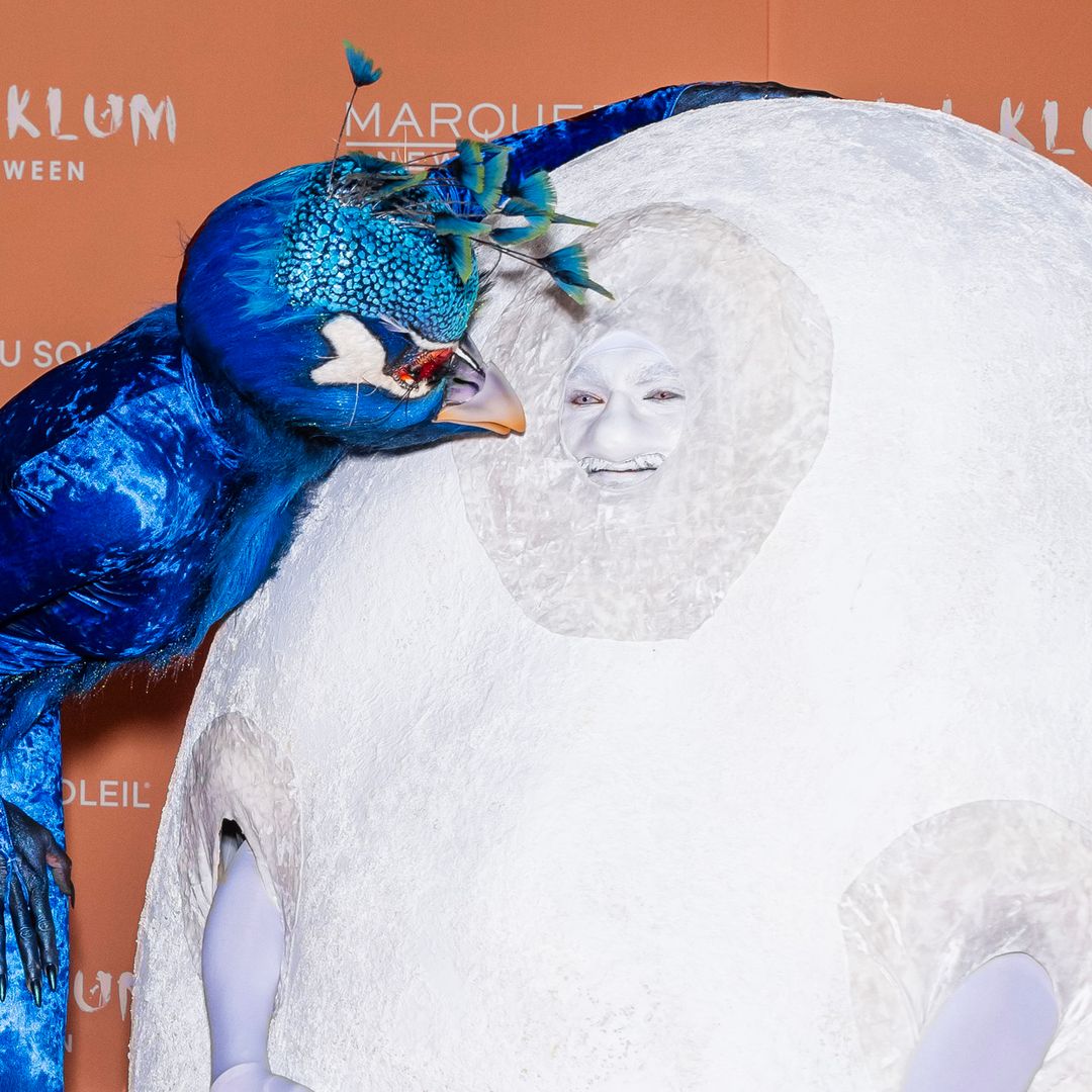 Heidi Klum unveils her incredibly extravagant Halloween costume after teasing fans for the entire day