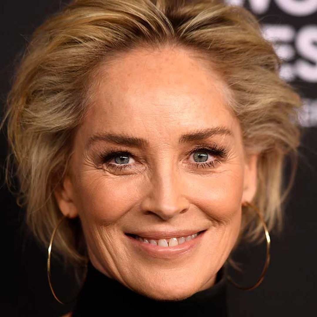 Sharon Stone amazes fans with stunning home photos after health battle