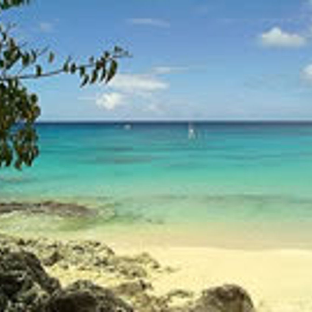 Hugh and Jemima make the most of Barbados