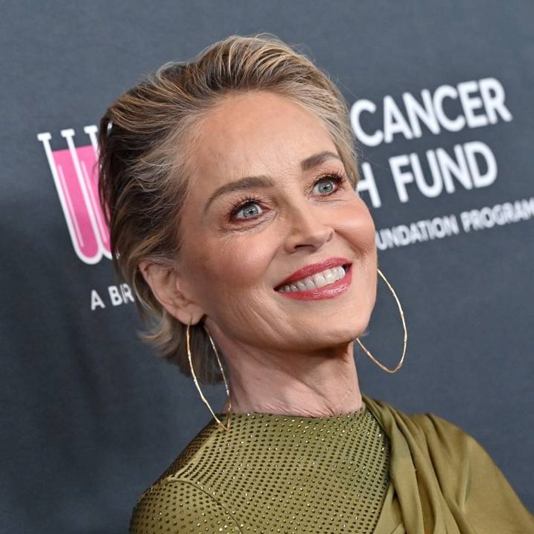 Sharon Stone looks drop-dead gorgeous in dazzling gown for star-studded Los Angeles event