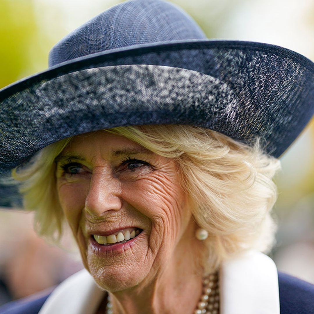 Queen Consort Camilla surrounded by tributes to late Queen in new photo from family home