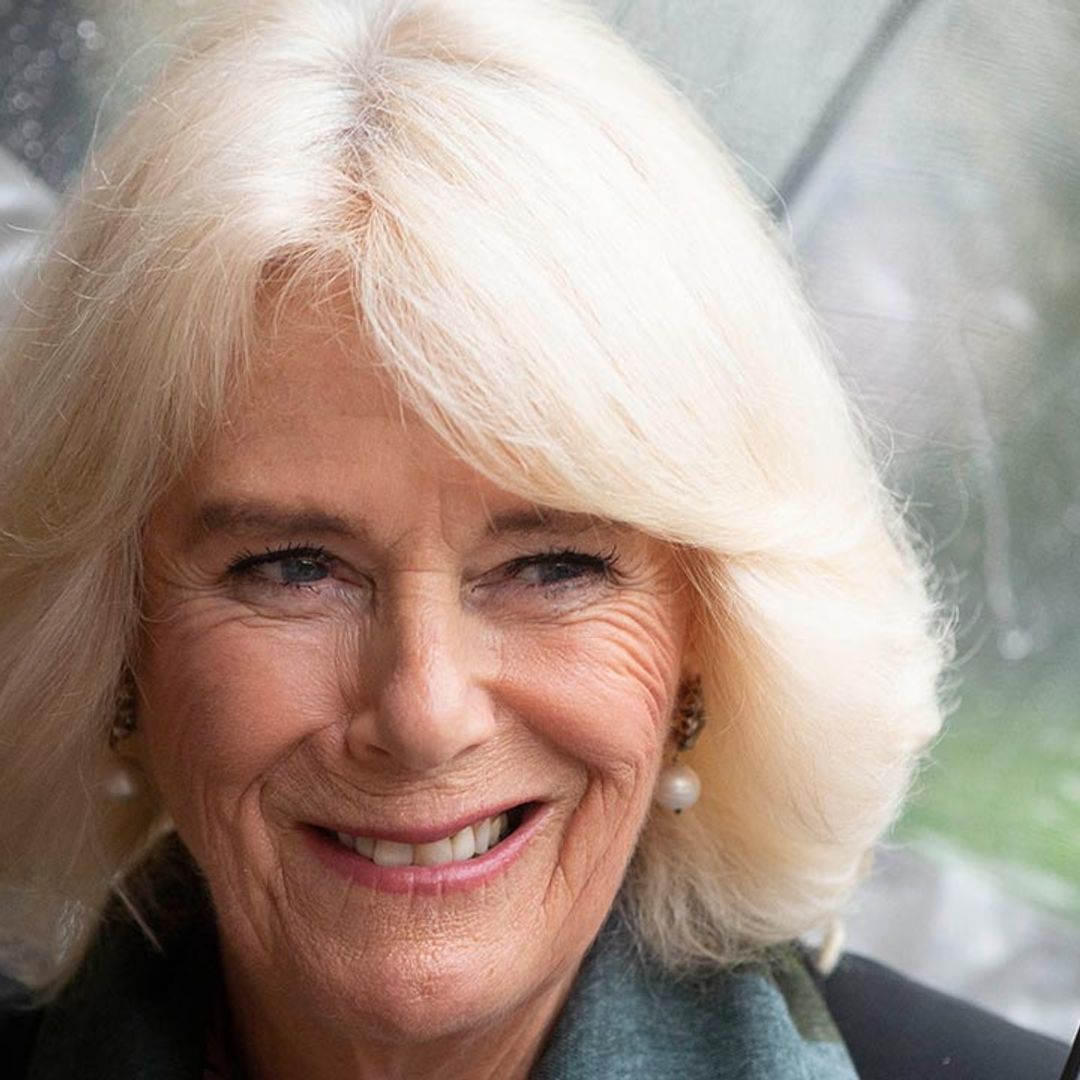 Duchess Camilla looks chic in blue for Clarence House tea party 