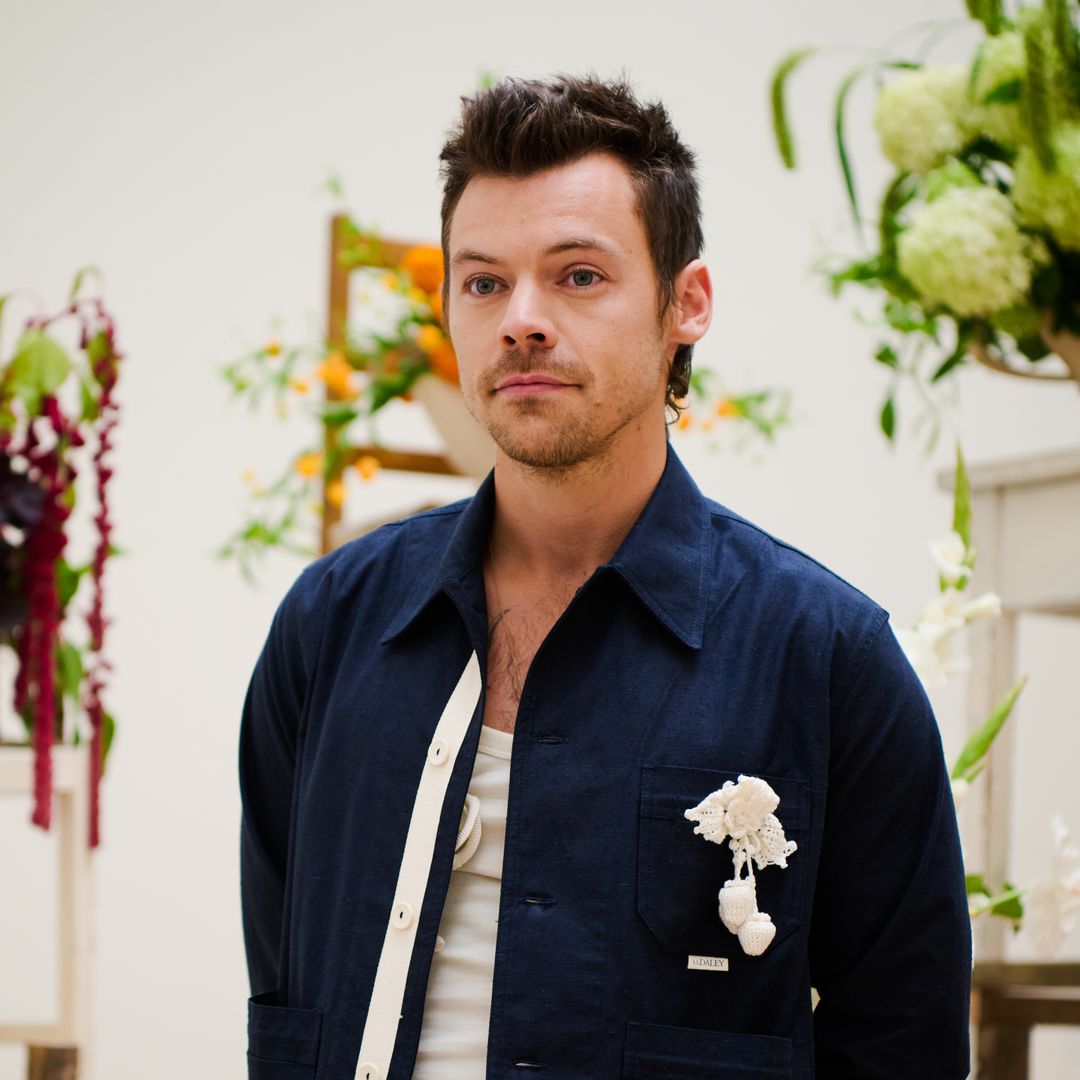 Harry Styles' staggering net worth - including four properties on a single London street