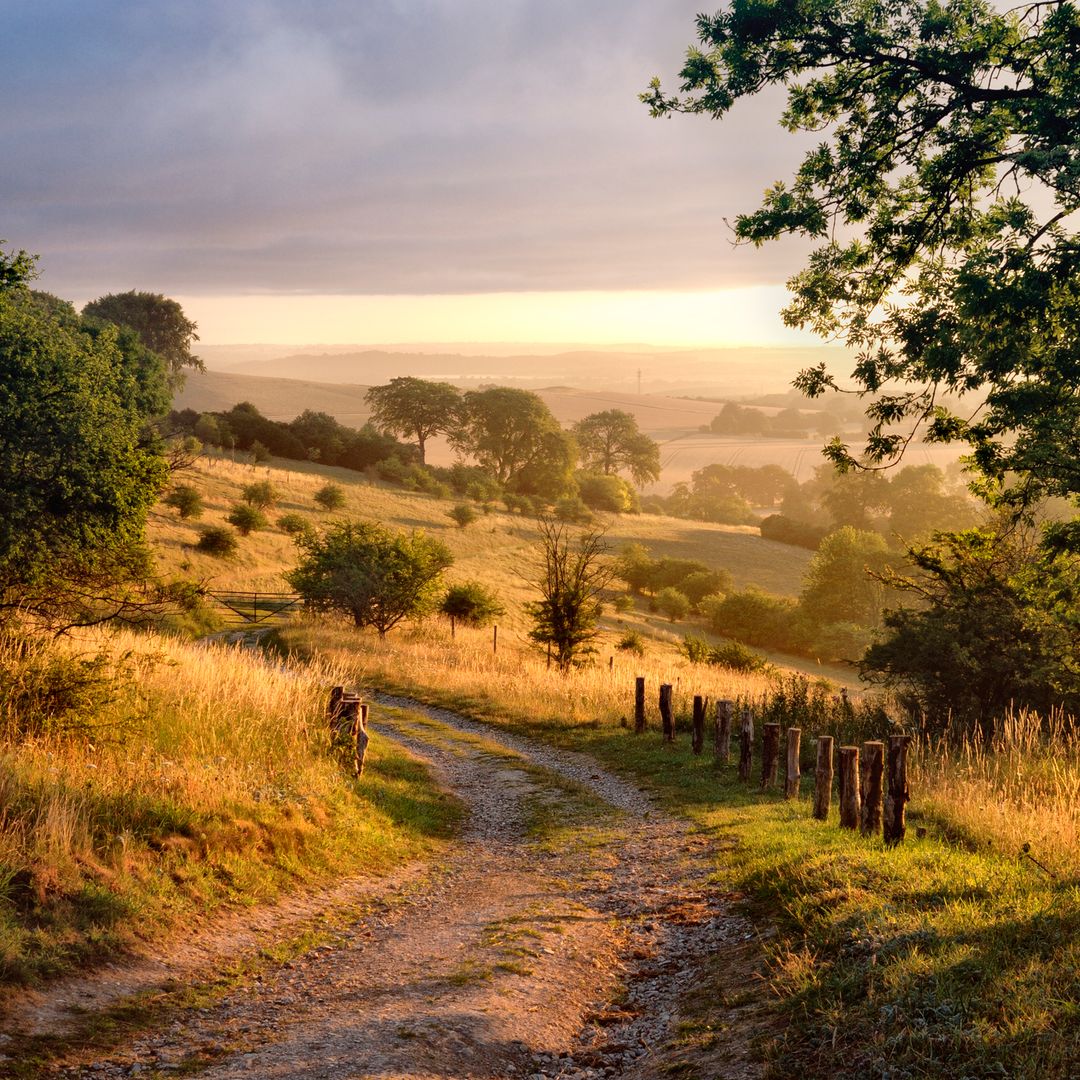 Winter walks and pub stops within 60 minutes of London - including my lesser-known gems