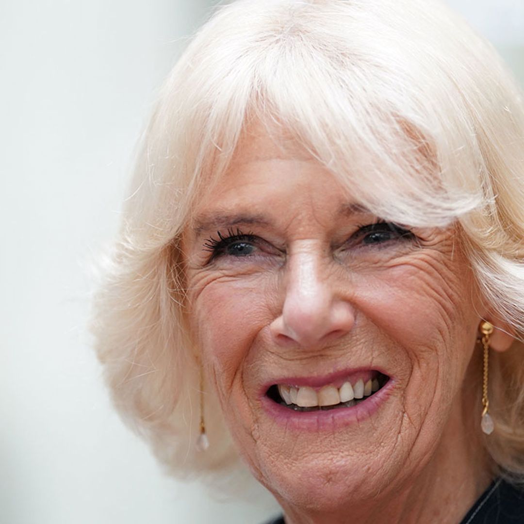 Queen Consort Camilla hails 'totally incredible' work to tackle domestic abuse