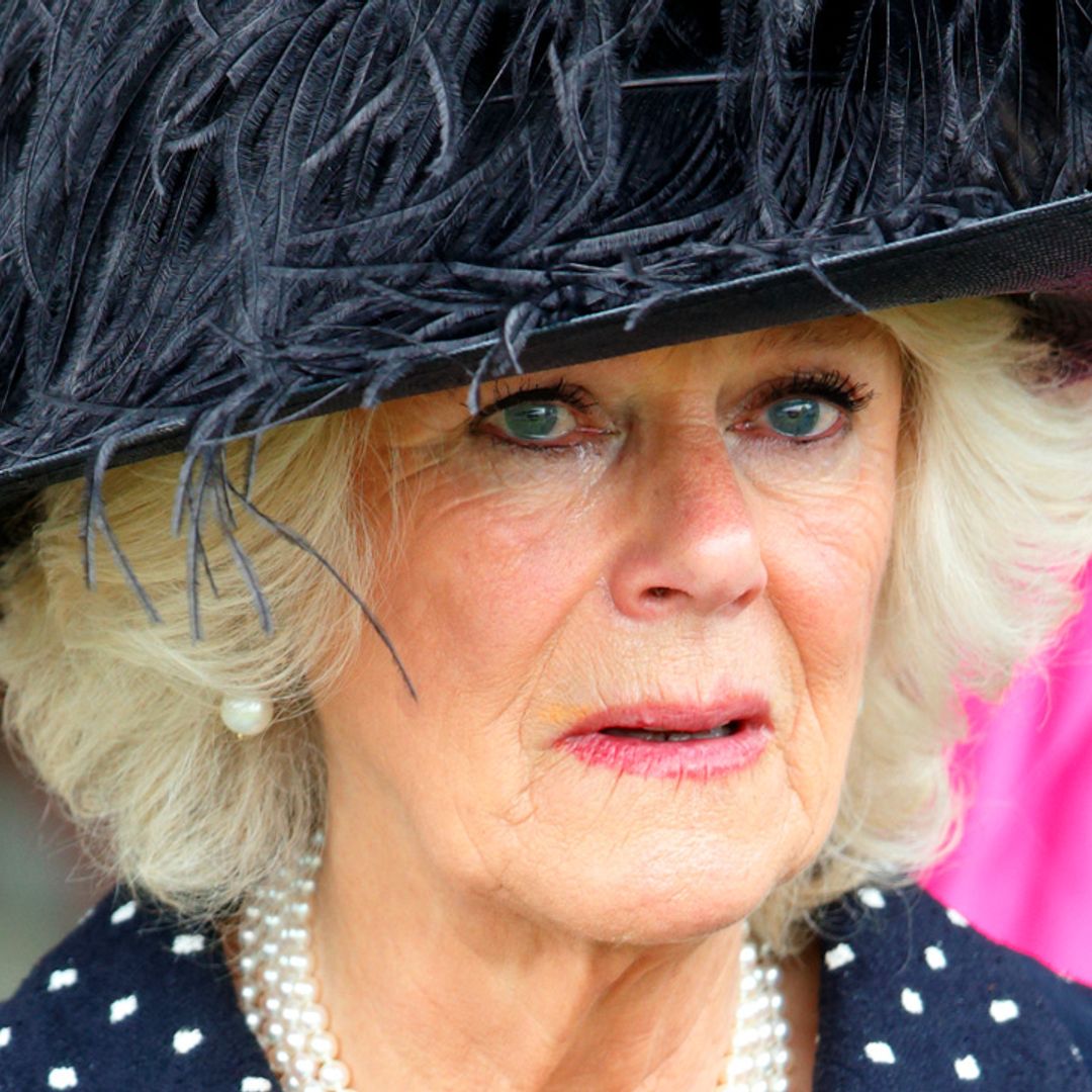Queen Consort Camilla 'howled' every night over childhood passion