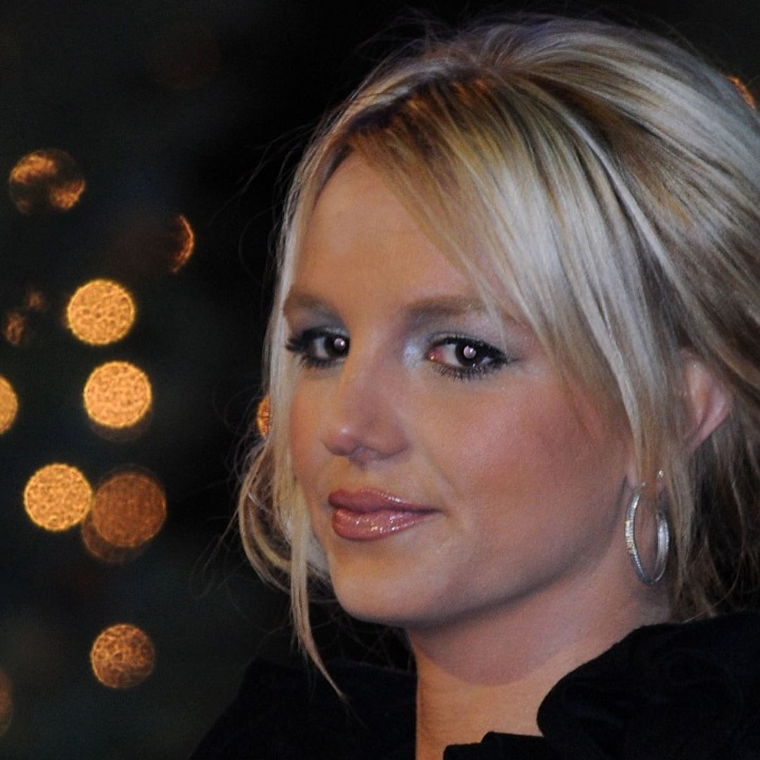 Britney Spears' heartbreak as dogs go missing