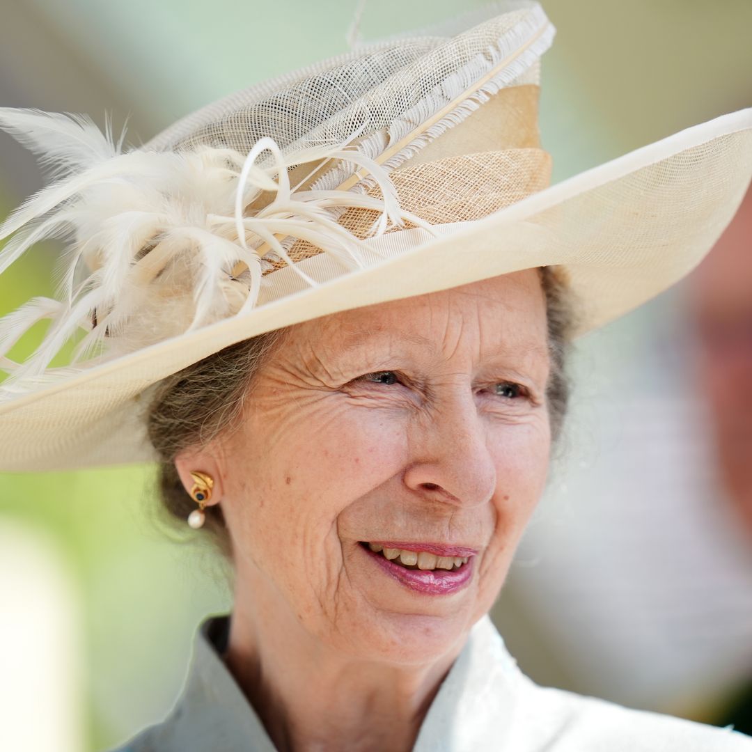 Princess Anne is unrecognisable with long hair in Wimbledon photo