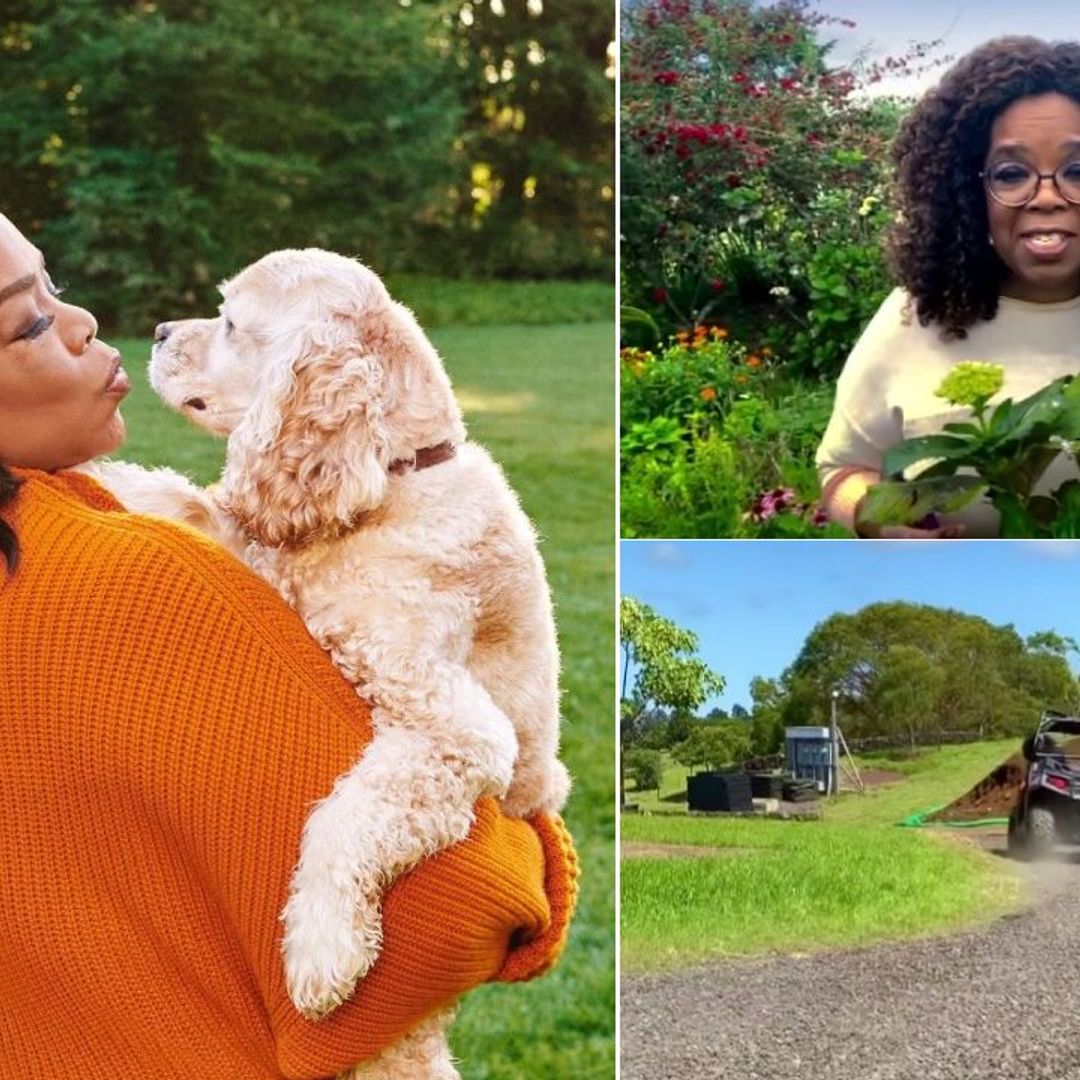 Oprah Winfrey shares glimpse inside unbelievable garden at $100million home