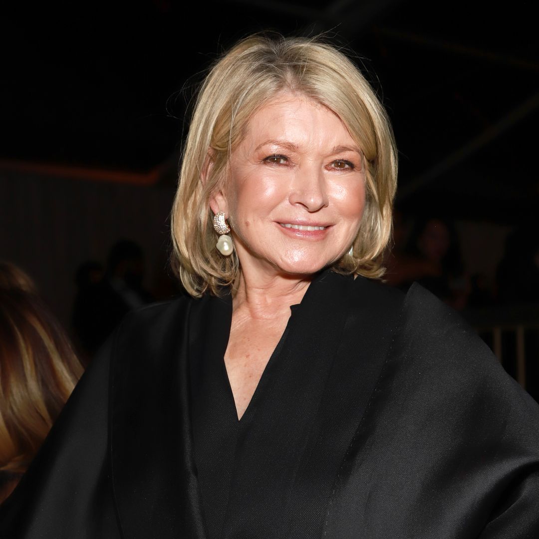 Martha Stewart looks unrecognizable with dark curly hair in stunning modeling throwback
