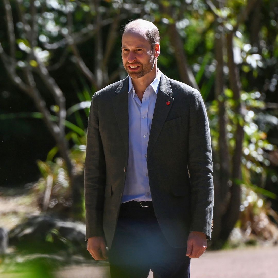 Prince William joined by Heidi Klum, Robert Irwin and more stars at the Earthshot Prize Awards