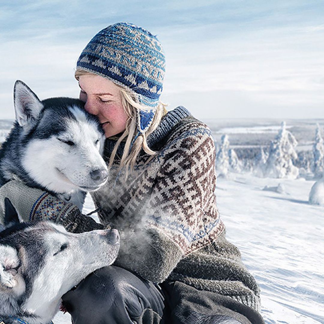 Huskies, reindeer and luxury igloos: why magical Lapland should top your bucket list