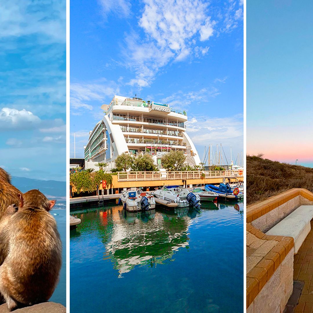 Sun, sea, and mischievous monkeys: why Sunborn Gibraltar should be your next trip