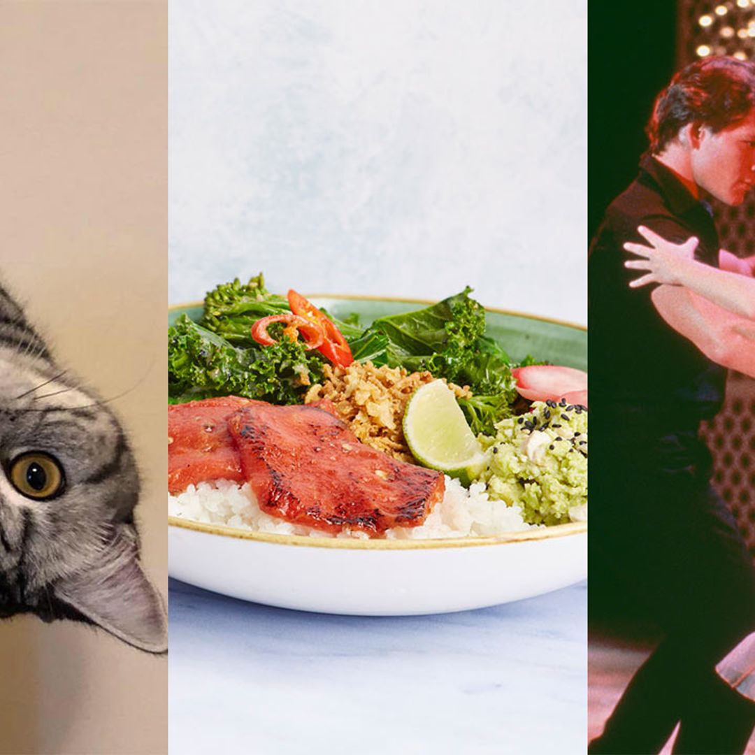 7 fun things to do in London this weekend: from vegan eateries to disco yoga
