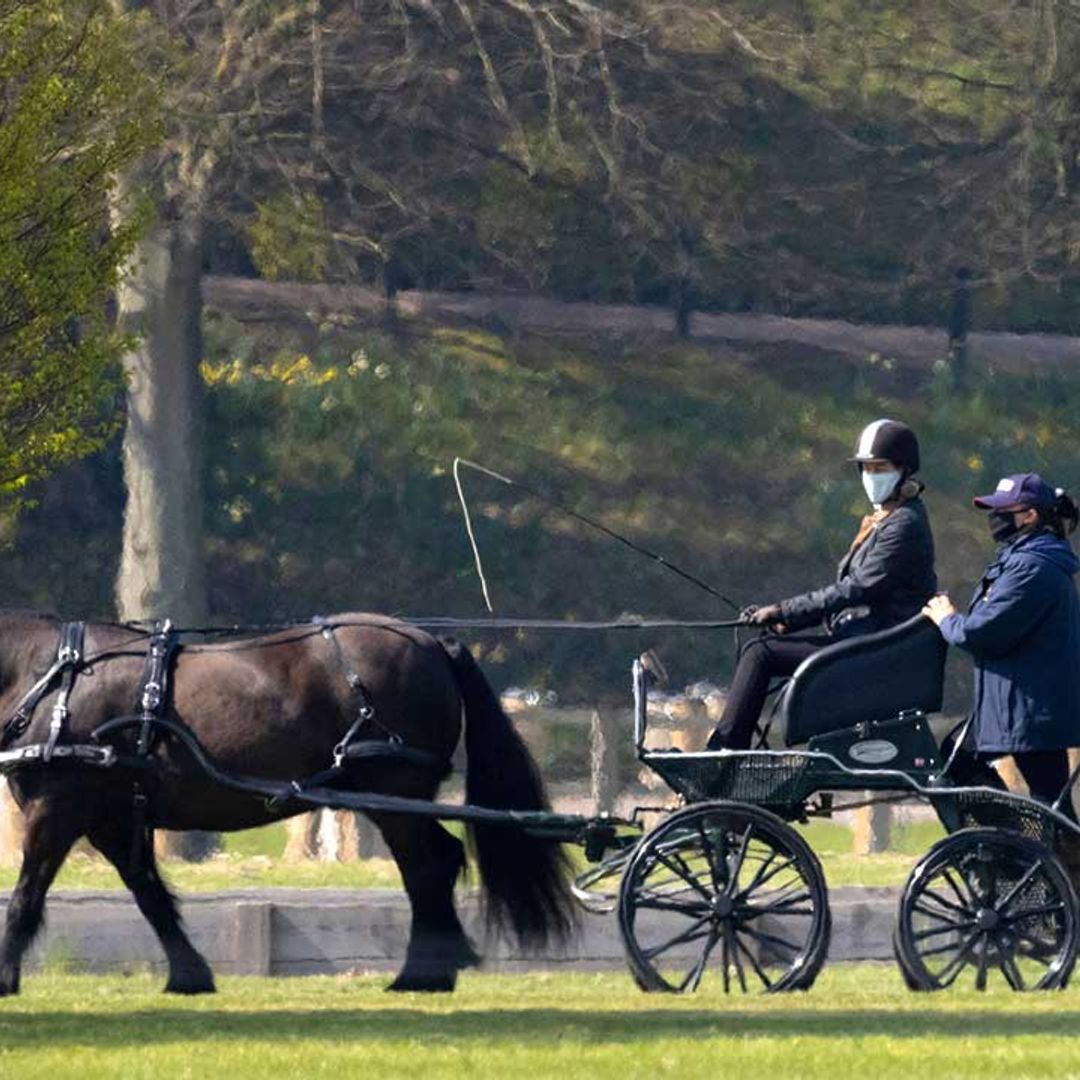 Lady Louise Windsor spotted carriage driving in Windsor as she continues Prince Philip's beloved sport