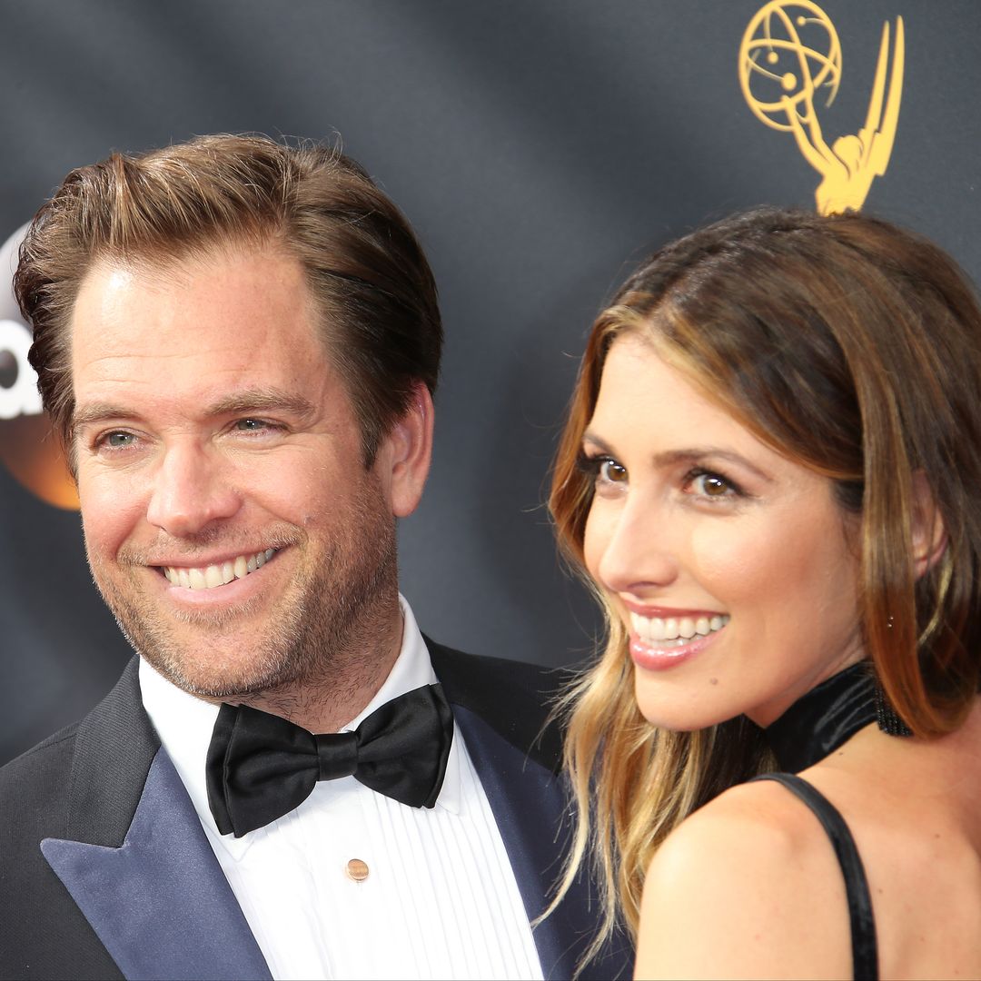 Meet NCIS: Tony & Ziva star Michael Weatherly's award-winning wife, Bojana Jankovic
