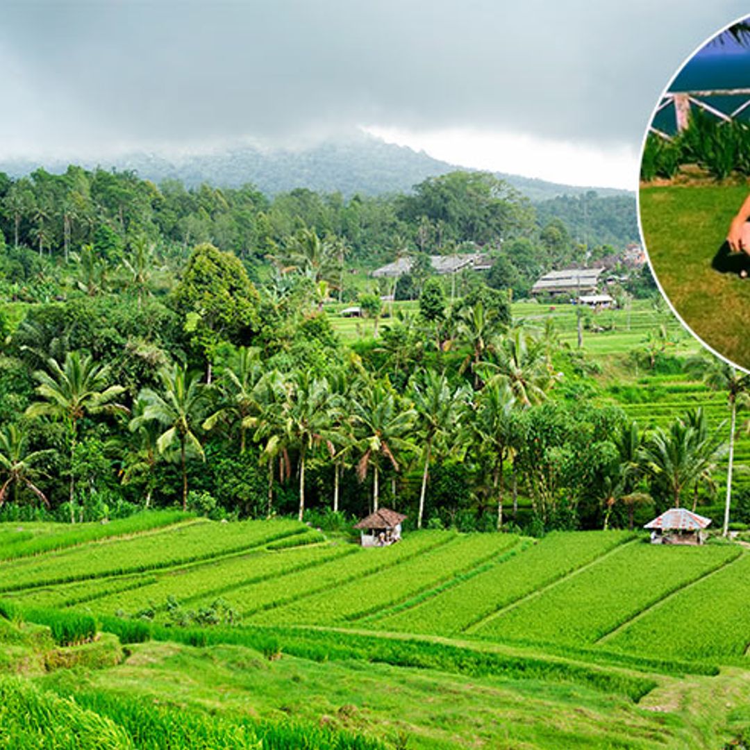 Gary Barlow reveals the surprising reason for his holiday in Bali